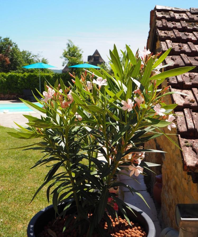 Le Clos De La Musardise - Gites De Charme Avec Piscine Chauffee Salignac Eyvigues Dış mekan fotoğraf